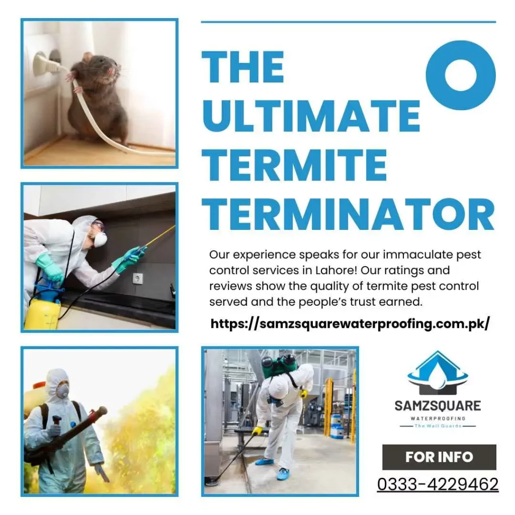 ultimate termite terminator in lahore