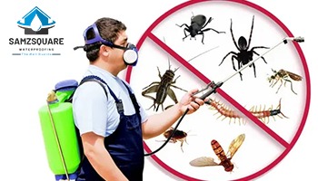 Top Pest Control Services in Lahore, Pakistan | Samzsquare Pest Solutions
