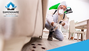 top pest control company in lahore